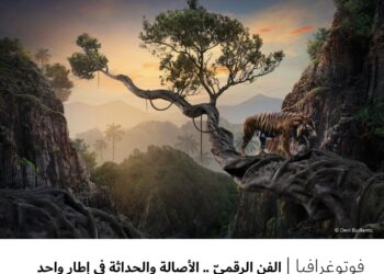 فوتوغرافيا – الفن الرقميّ .. الأصالة والحداثة في إطارٍ واحد