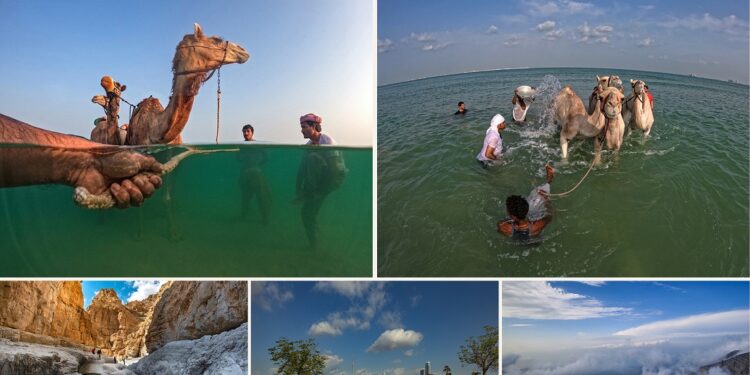 جائزة حمدان بن محمد للتصوير تُعلن الفائزين بمسابقة “أجمل شتاء في العالم” للتصوير