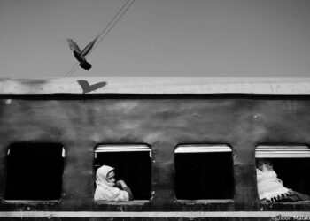 فوتوغرافيا – كيف يفكّر الفائزون ؟ بعد إنجاز العمل ..