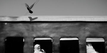 فوتوغرافيا – كيف يفكّر الفائزون ؟ بعد إنجاز العمل ..