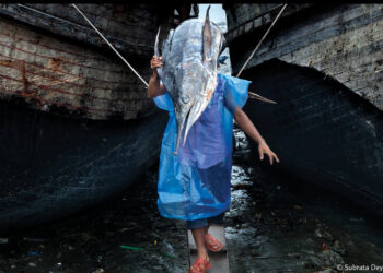 فوتوغرافيا – كثرة التصوير .. ما علاقتها بالذاكرة ؟ (2 من 3)