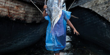 فوتوغرافيا – كثرة التصوير .. ما علاقتها بالذاكرة ؟ (2 من 3)