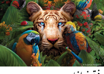 فوتوغرافيا – التقييم والتحكيم لدورة “التنوّع” –سليمان المواش (1 من 5)