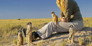 فوتوغرافيا التقييم والتحكيم لدورة “التنوّع” – صوفي ستافورد (2 من 5)