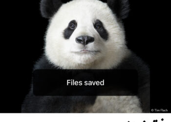 فوتوغرافيا التقييم والتحكيم لدورة “التنوّع” – تيم فلاك (3 من 5)