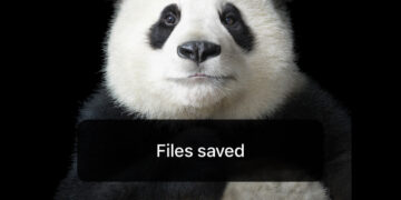 فوتوغرافيا التقييم والتحكيم لدورة “التنوّع” – تيم فلاك (3 من 5)