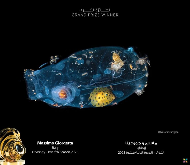 سمو الشيخ منصور بن محمد بن راشد آل مكتوم يُكّرّم الفائزين بموسم “التنوّع”