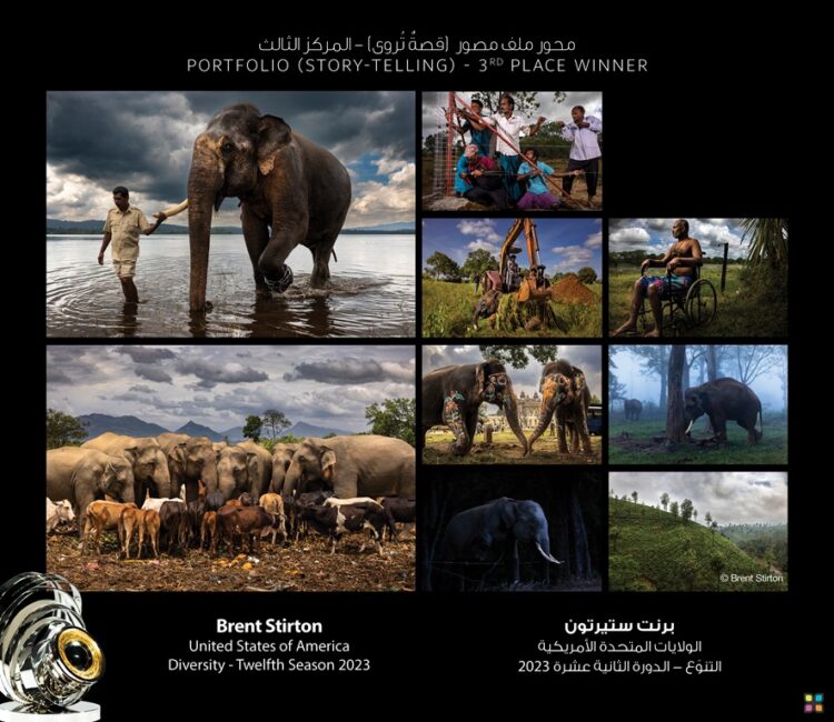 سمو الشيخ منصور بن محمد بن راشد آل مكتوم يُكّرّم الفائزين بموسم “التنوّع”