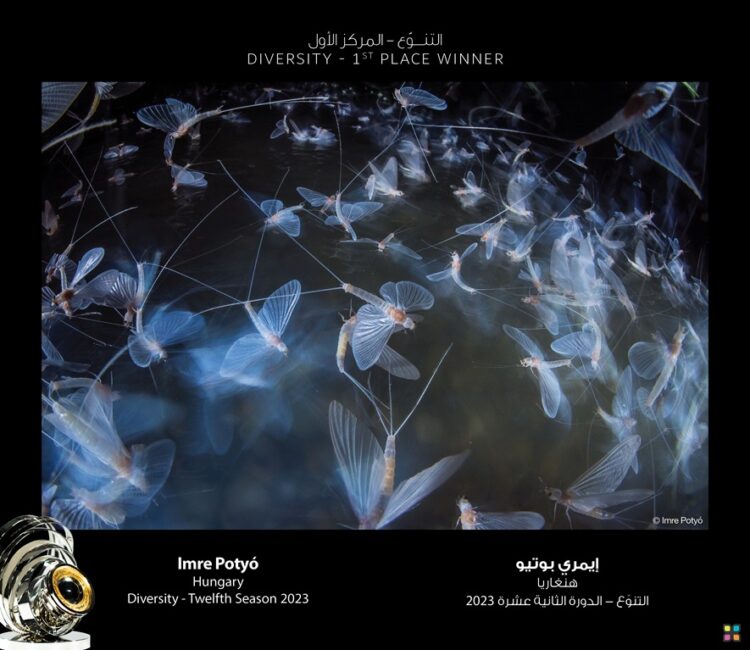 سمو الشيخ منصور بن محمد بن راشد آل مكتوم يُكّرّم الفائزين بموسم “التنوّع”