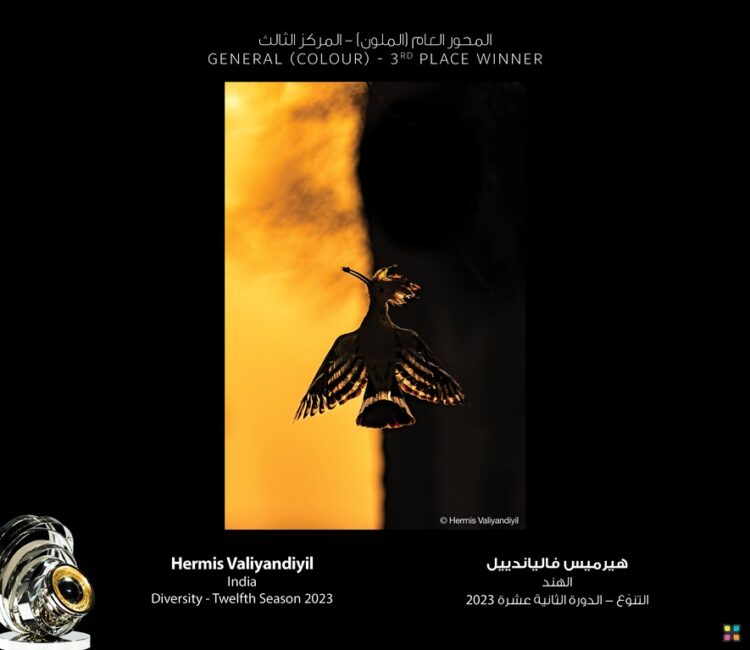 سمو الشيخ منصور بن محمد بن راشد آل مكتوم يُكّرّم الفائزين بموسم “التنوّع”