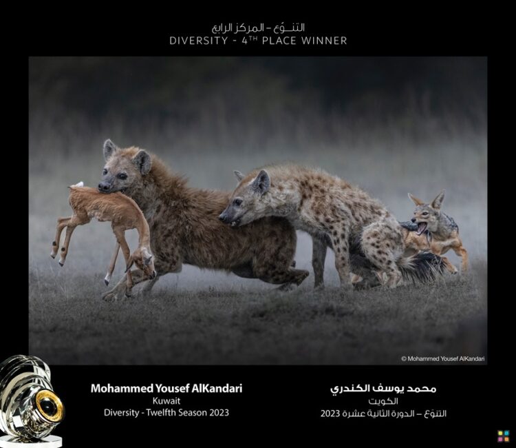 سمو الشيخ منصور بن محمد بن راشد آل مكتوم يُكّرّم الفائزين بموسم “التنوّع”