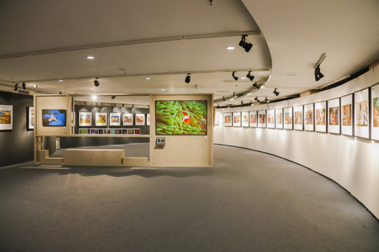 Heads of Photographic Societies Exhibition at the China Millennium Memorial World Art Center in Beijing from October 21 to 29