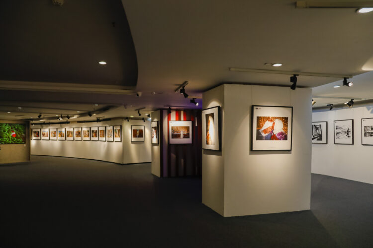 Heads of Photographic Societies Exhibition at the China Millennium Memorial World Art Center in Beijing from October 21 to 29