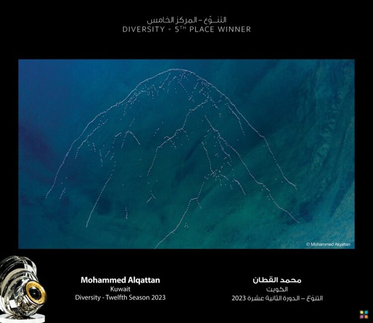 سمو الشيخ منصور بن محمد بن راشد آل مكتوم يُكّرّم الفائزين بموسم “التنوّع”