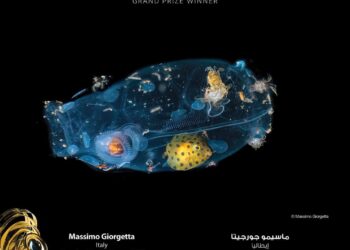 فوتوغرافيا – الجائزة الكبرى تتحدّث الإيطالية .. وتُبهِر الجمهور