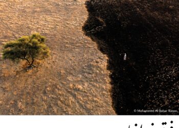 فوتوغرافيا – جوائز التنوّع .. استحواذٌ خليجيّ فاجأ الجميع