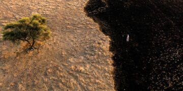 فوتوغرافيا – جوائز التنوّع .. استحواذٌ خليجيّ فاجأ الجميع