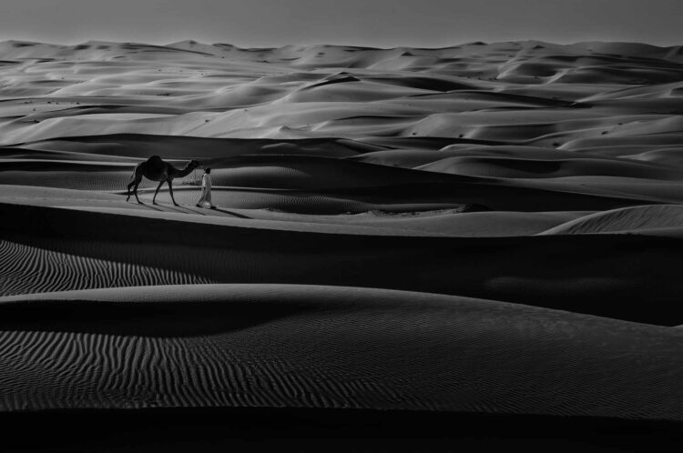 فاطمة الموسى – الإمارات العربية المتحدة​ ​ ​ – جائزة الشخصية الفوتوغرافية الواعدة