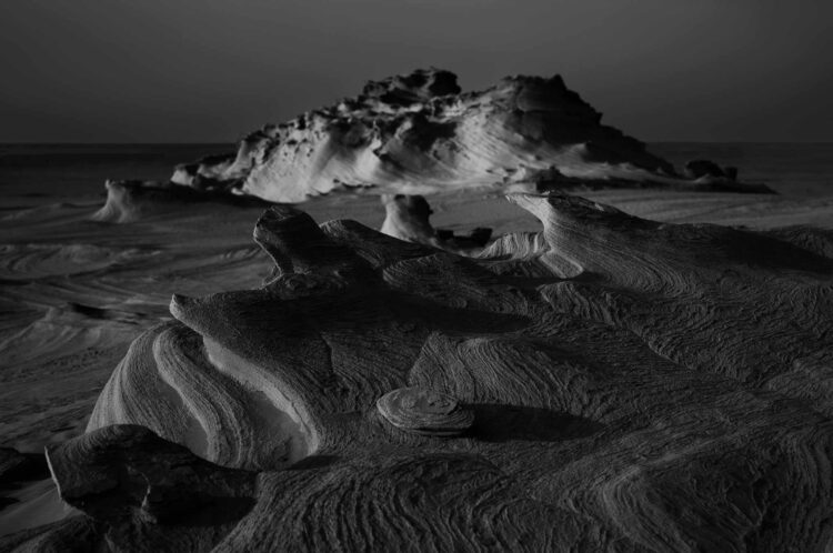 فاطمة الموسى – الإمارات العربية المتحدة​ ​ ​ – جائزة الشخصية الفوتوغرافية الواعدة