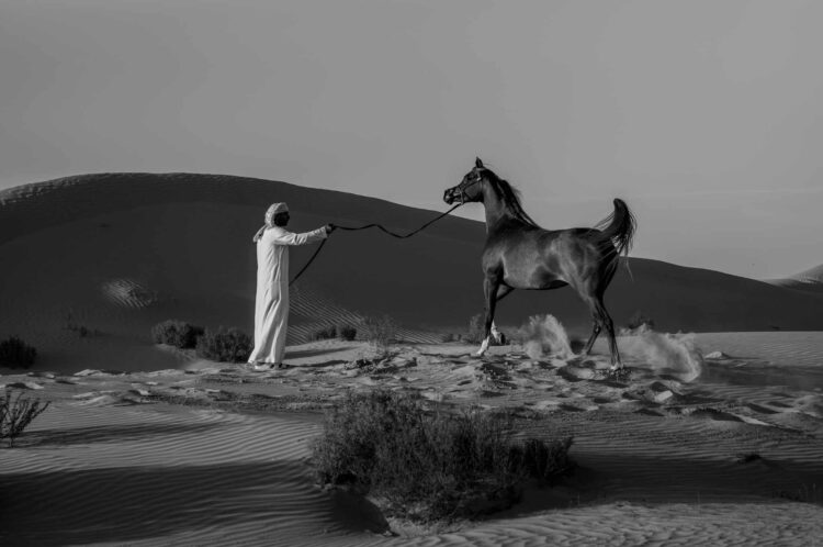 فاطمة الموسى – الإمارات العربية المتحدة​ ​ ​ – جائزة الشخصية الفوتوغرافية الواعدة