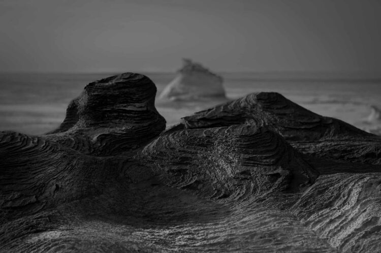 فاطمة الموسى – الإمارات العربية المتحدة​ ​ ​ – جائزة الشخصية الفوتوغرافية الواعدة