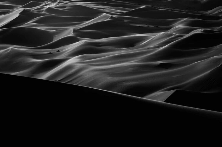 فاطمة الموسى – الإمارات العربية المتحدة​ ​ ​ – جائزة الشخصية الفوتوغرافية الواعدة