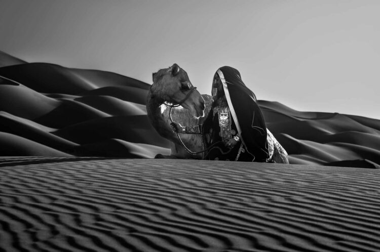 فاطمة الموسى – الإمارات العربية المتحدة​ ​ ​ – جائزة الشخصية الفوتوغرافية الواعدة