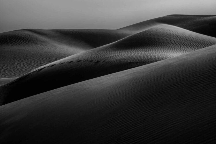 فاطمة الموسى – الإمارات العربية المتحدة​ ​ ​ – جائزة الشخصية الفوتوغرافية الواعدة