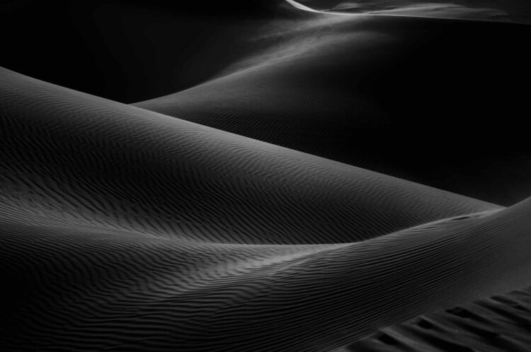 فاطمة الموسى – الإمارات العربية المتحدة​ ​ ​ – جائزة الشخصية الفوتوغرافية الواعدة