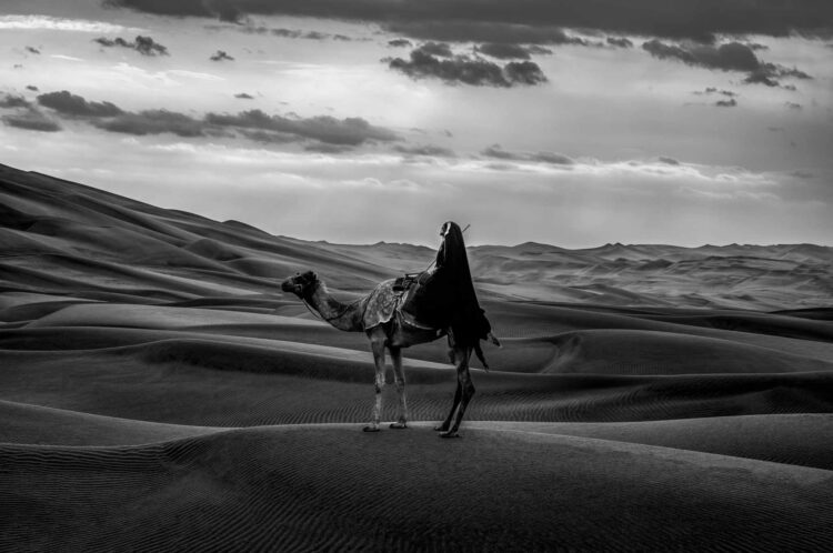 فاطمة الموسى – الإمارات العربية المتحدة​ ​ ​ – جائزة الشخصية الفوتوغرافية الواعدة