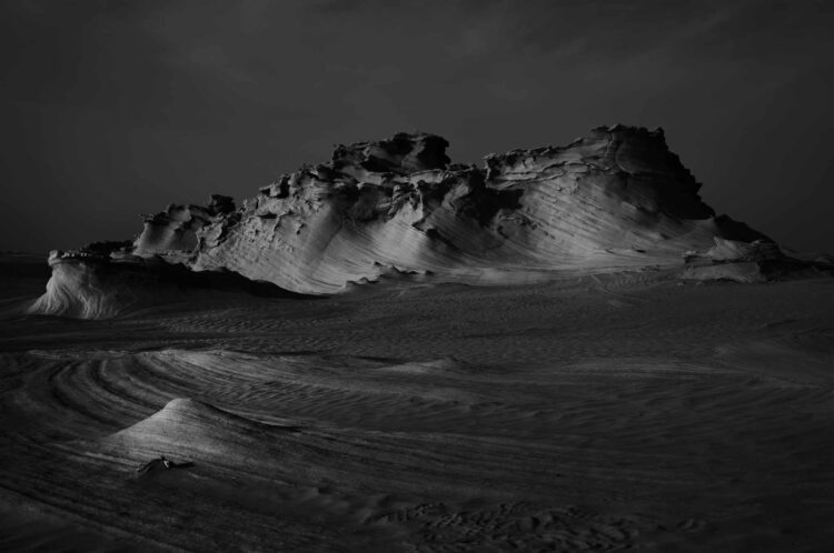 فاطمة الموسى – الإمارات العربية المتحدة​ ​ ​ – جائزة الشخصية الفوتوغرافية الواعدة