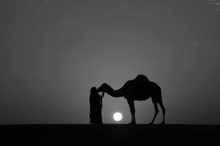 فاطمة الموسى – الإمارات العربية المتحدة​ ​ ​ – جائزة الشخصية الفوتوغرافية الواعدة