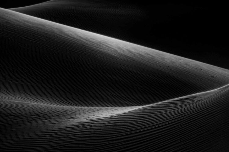 فاطمة الموسى – الإمارات العربية المتحدة​ ​ ​ – جائزة الشخصية الفوتوغرافية الواعدة