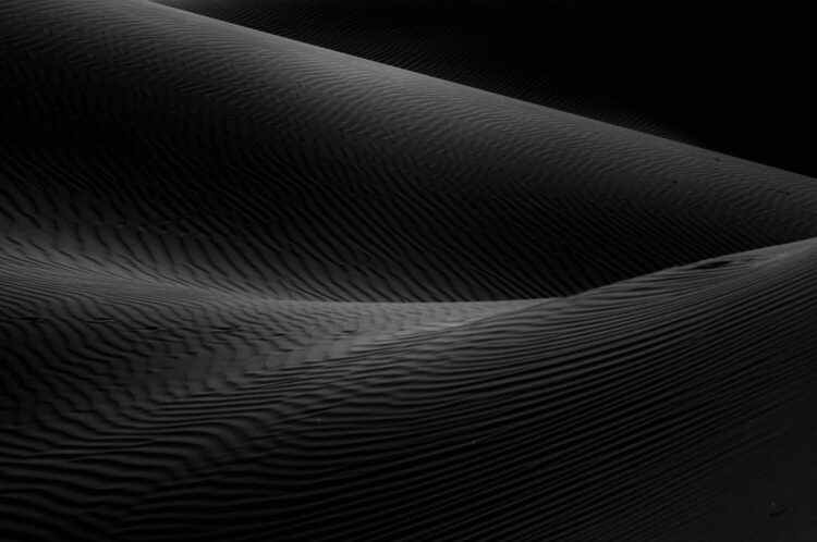 فاطمة الموسى – الإمارات العربية المتحدة​ ​ ​ – جائزة الشخصية الفوتوغرافية الواعدة