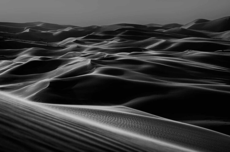 فاطمة الموسى – الإمارات العربية المتحدة​ ​ ​ – جائزة الشخصية الفوتوغرافية الواعدة