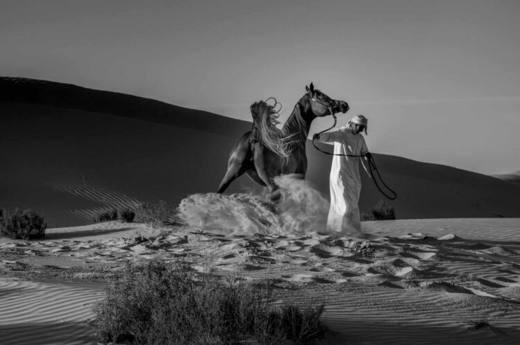 فاطمة الموسى – الإمارات العربية المتحدة​ ​ ​ – جائزة الشخصية الفوتوغرافية الواعدة