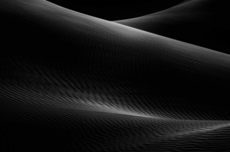 فاطمة الموسى – الإمارات العربية المتحدة​ ​ ​ – جائزة الشخصية الفوتوغرافية الواعدة