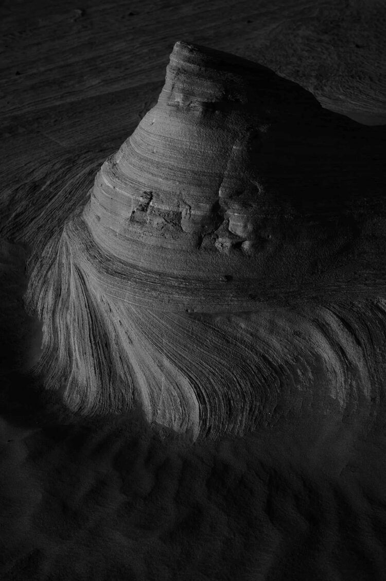 فاطمة الموسى – الإمارات العربية المتحدة​ ​ ​ – جائزة الشخصية الفوتوغرافية الواعدة