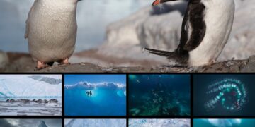 فوتوغرافيا – معركة “البورتفوليو” حيثُ تتنافس النخبة !