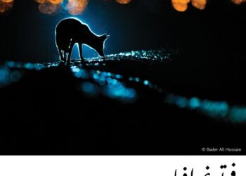 فوتوغرافيا – تألق العدسة السعودية والكويتية والعُمانية .. في حرب الألوان