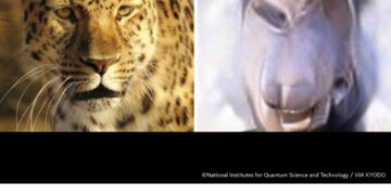 فوتوغرافيا – كوكب اليابان يلتقط أول صورة ذهنية في العالم