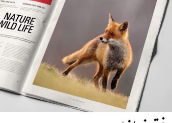 فوتوغرافيا – النص والصورة والتأثير …. من يتربع على عرش السيادة؟ – الجزء الأول