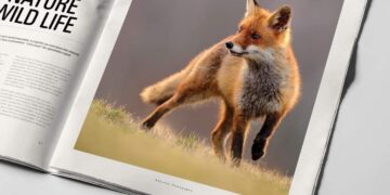 فوتوغرافيا – النص والصورة والتأثير …. من يتربع على عرش السيادة؟ – الجزء الأول