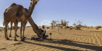 صورتان جزائريتان ضمن أحسن 10 صور فوتوغرافية من مختلف دول العالم فائزة ضمن مسابقة- (WSIS Photo Contest 2024)