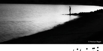 فوتوغرافيا – 600 أسبوع .. 600 نبضة تواصل مع مجتمعات المصورين