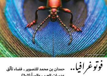 فوتوغرافيا  حمدان بن محمد للتصوير .. فضاء تألّق عدسات العرب عالمياً (2-2)