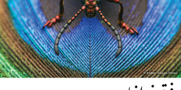 فوتوغرافيا  حمدان بن محمد للتصوير .. فضاء تألّق عدسات العرب عالمياً (2-2)