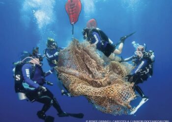 فوتوغرافيا – إنجازاتٌ فائزة .. في اليوم العالمي للمحيطات