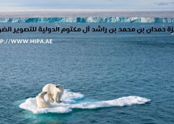 فوتوغرافيا – فلوريان شولز .. المدافع الشرس عن “حرية التجوّل البرية”