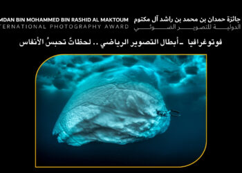 فوتوغرافيا  – أبطال التصوير الرياضي .. لحظاتٌ تحبسُ الأنفاس